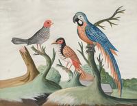 A Set of Six Irish George III Embossed Bird Pictures by Samuel Dixon