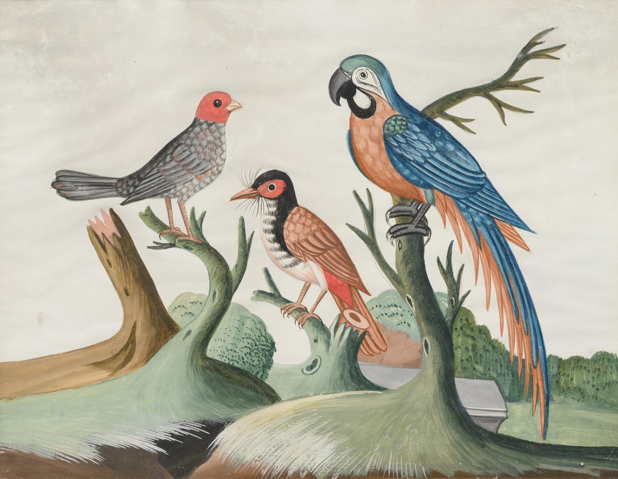 A Set of Six Irish George III Embossed Bird Pictures by Samuel Dixon
