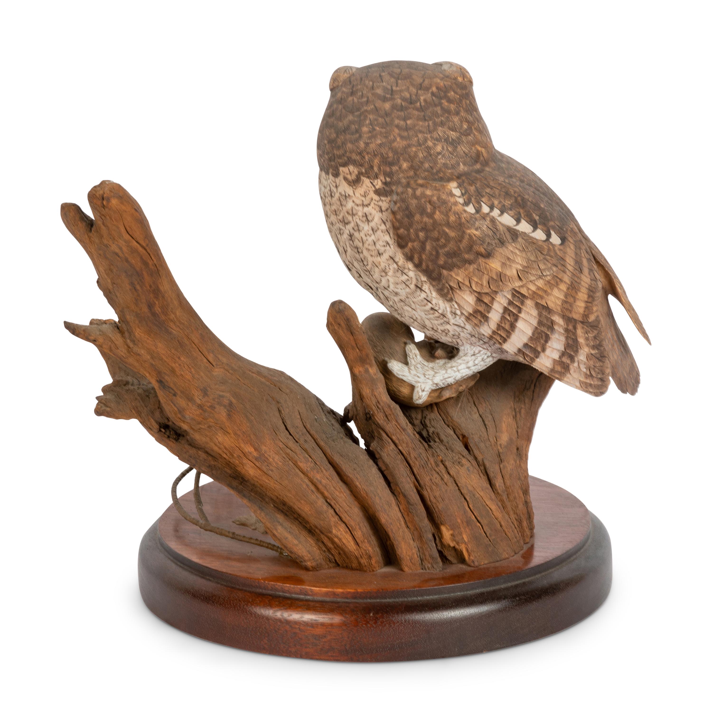 Otus Asio (Eastern Screech Owl)