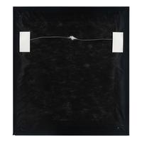 Rembrandt van Rijn (Dutch, 1606–1669) — Christ before Pilate: Large Plate (Ecce Homo) , 1635-36