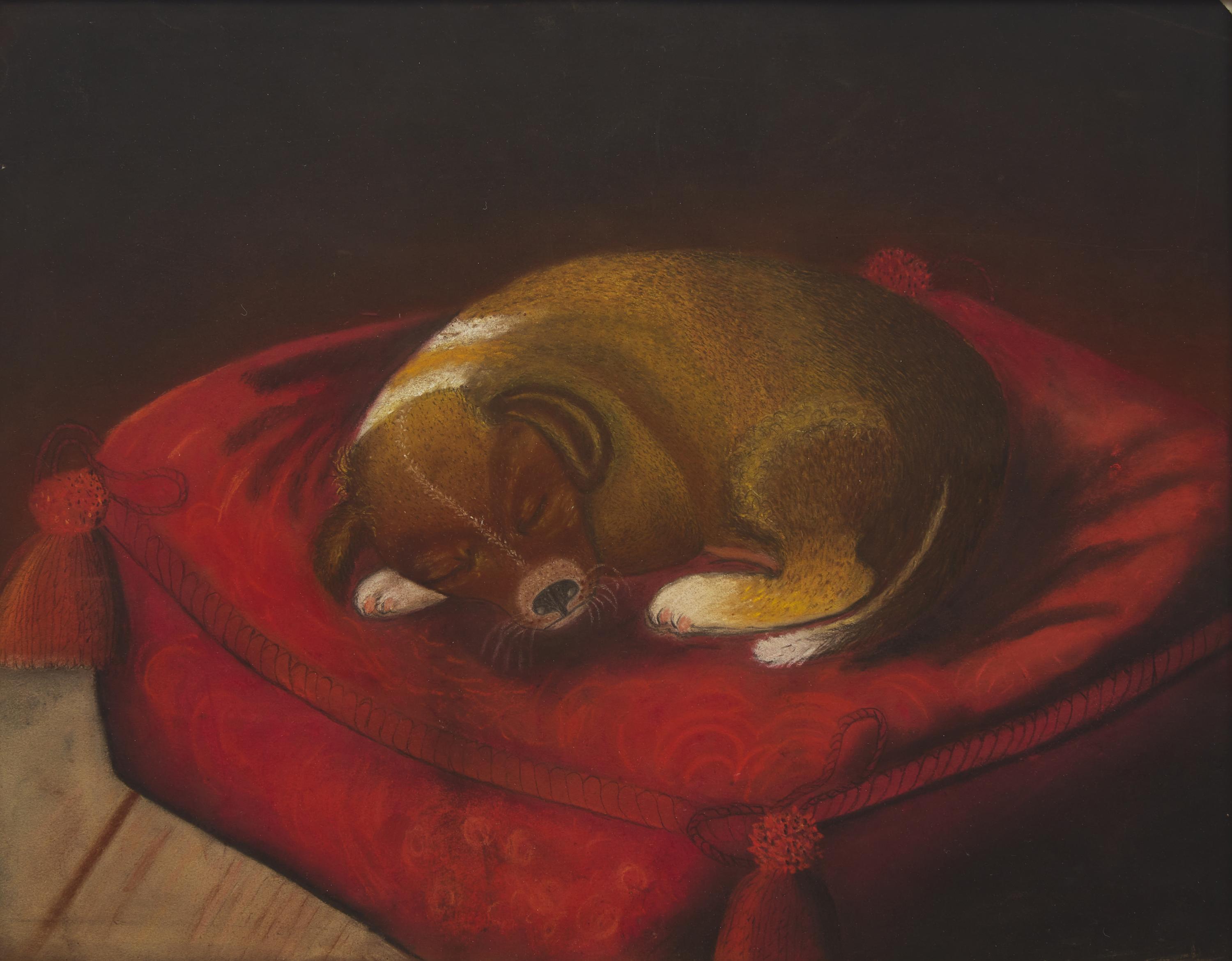 American School 19th Century, A Sleeping Puppy