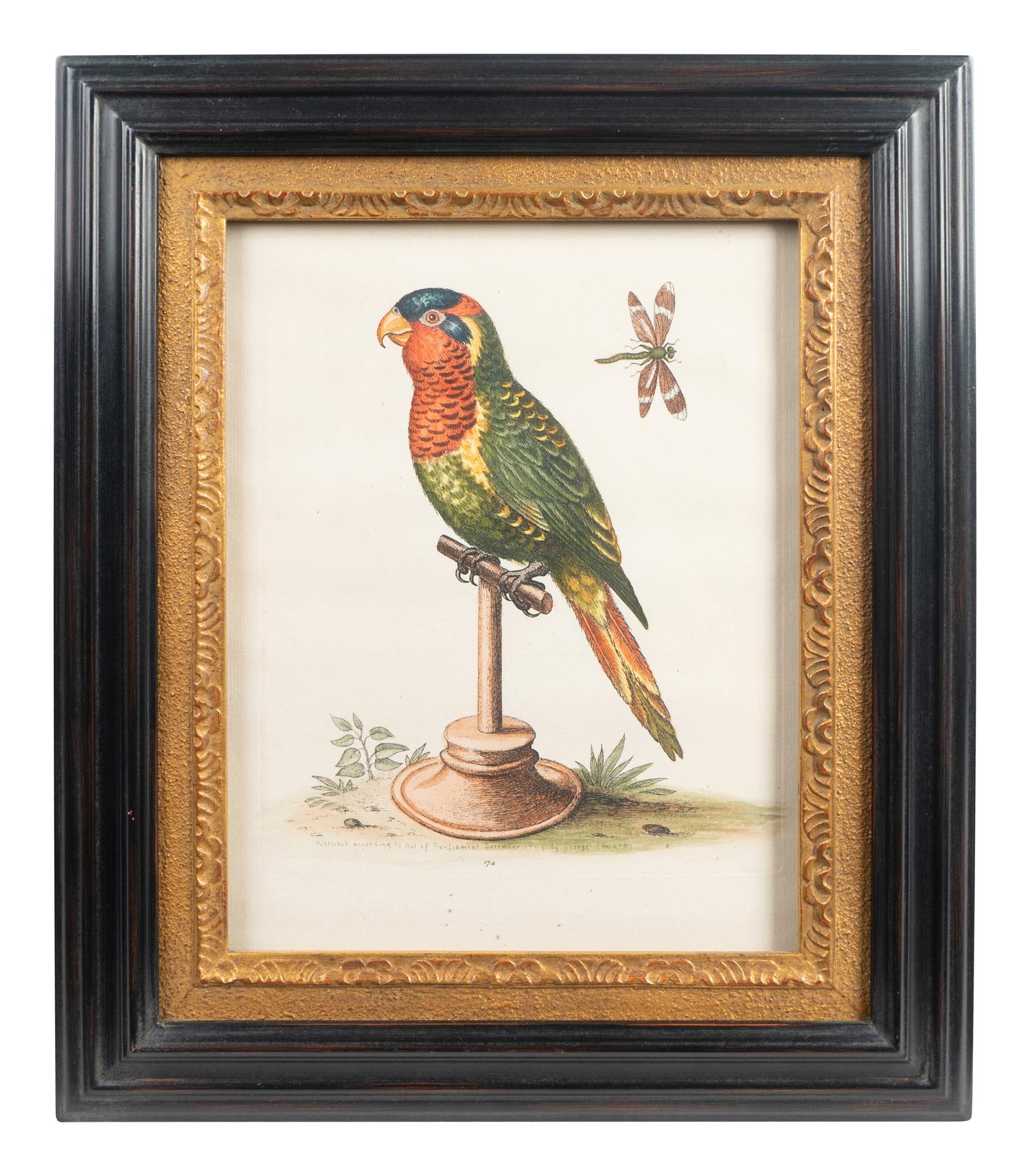 A Set of Eight Hand-Colored Engravings After George Edwards (British, 1694-1773) — LATE 19TH CENTURY