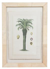 La Roche Laffitte, (French, b. 1943), Cocos Yatai, from The Tree Studies