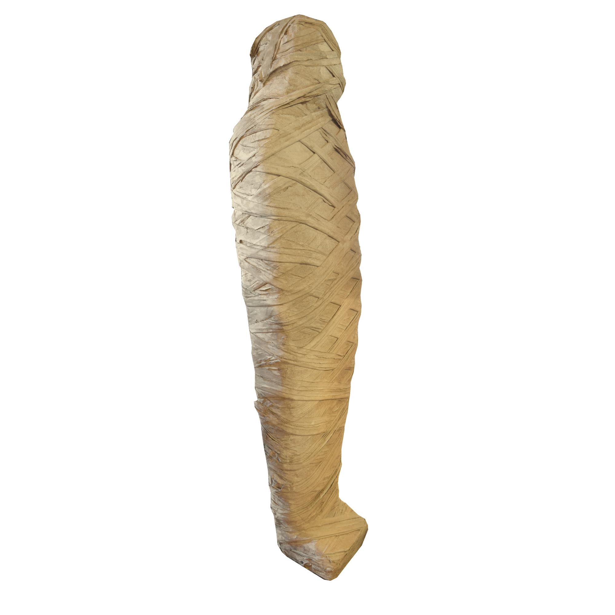 An Artist-Made Fabric Mummy 20 "W x 10'' D x 72 "H — Belgium, 21st Century