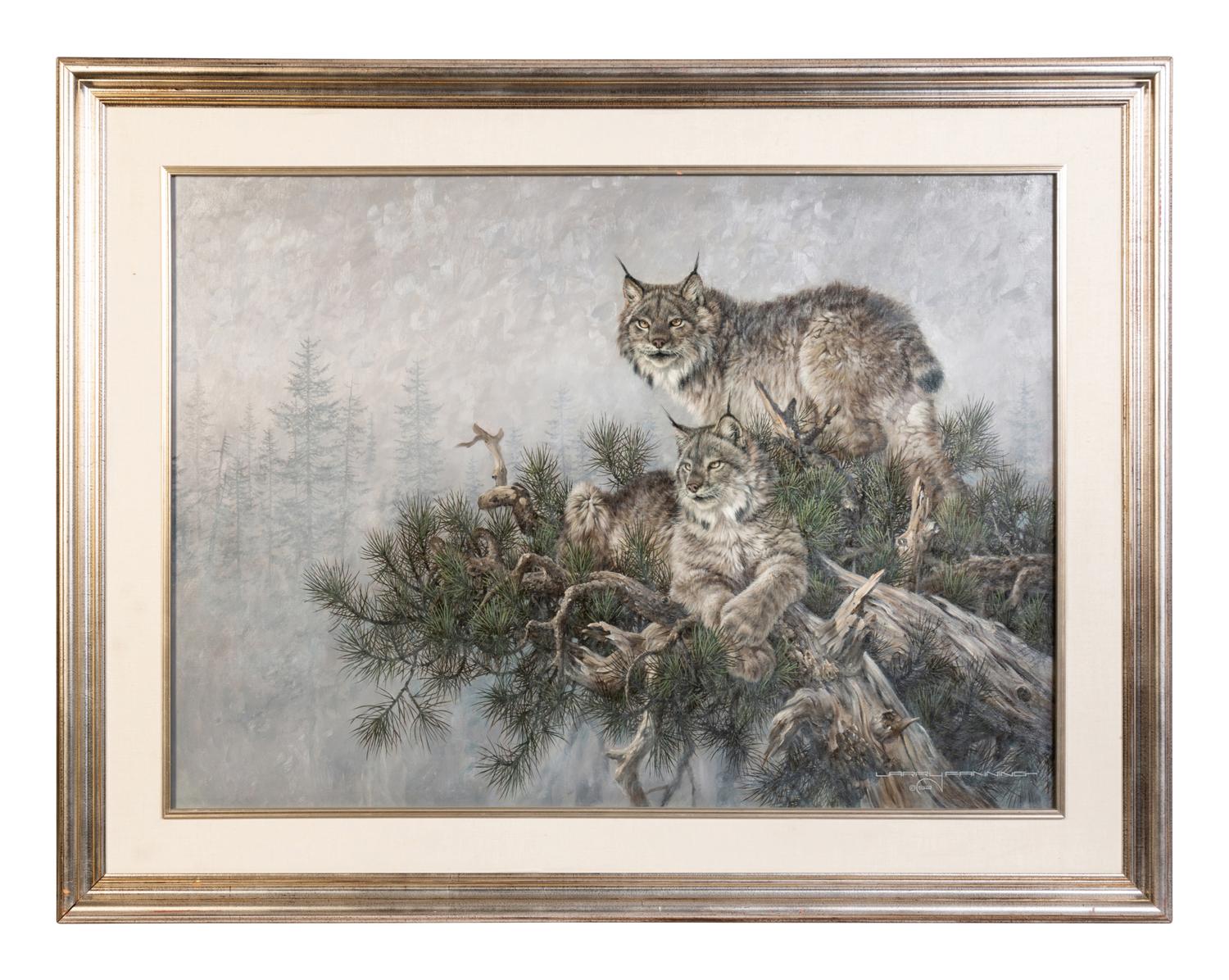 Bobcats