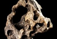 A Chinese Scholar's Rock