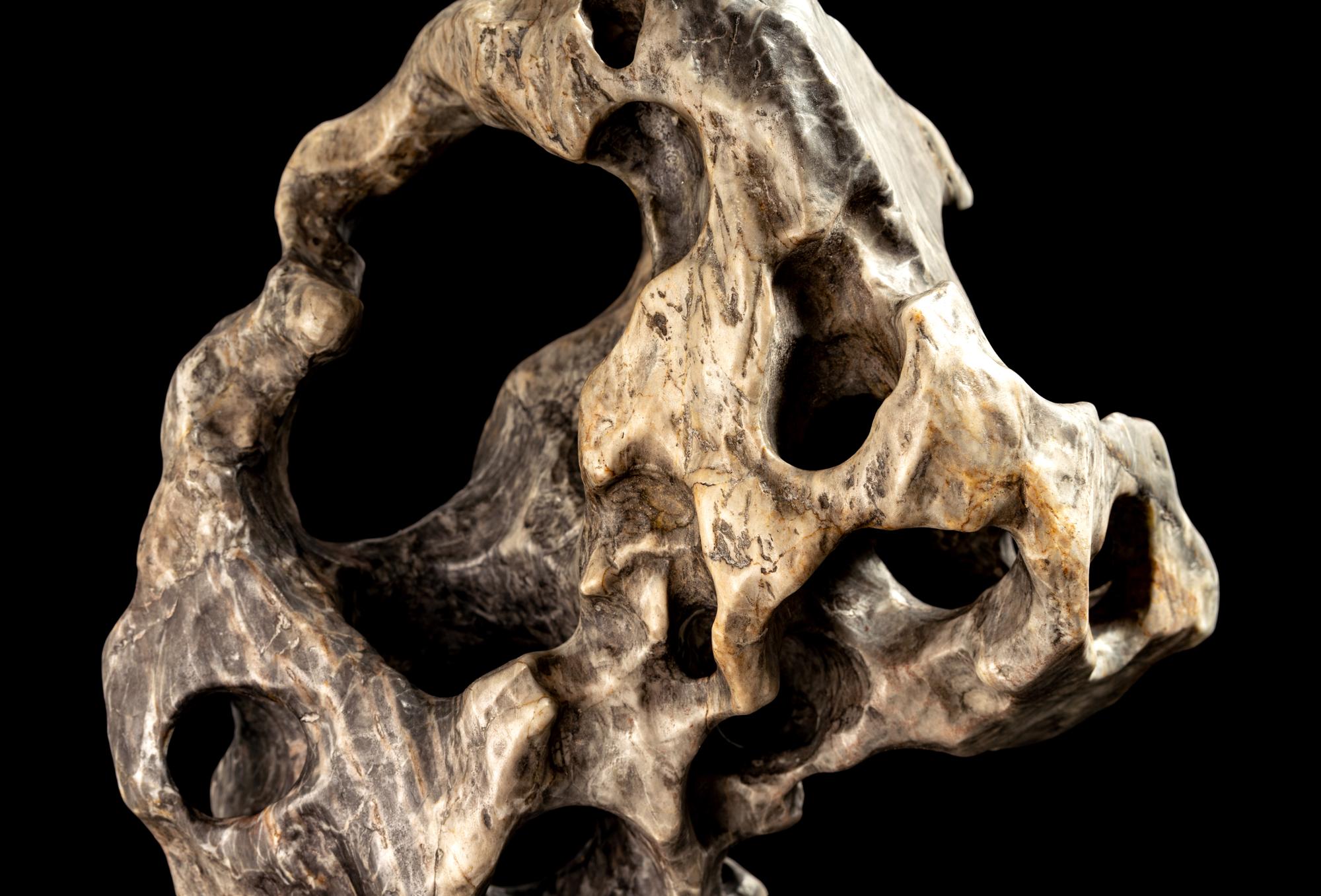A Chinese Scholar's Rock