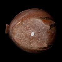 A Chorrera Avian Vessel