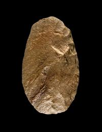 A Paleolithic Quartzite Hand Axe
