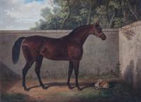 Artist Unknown, (19th century), Portrait of a Horse with Rabbit