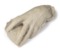 A Cast Plaster Model of a Hand