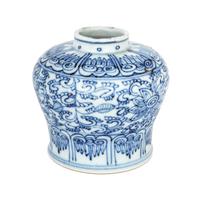 A Chinese Blue and White Porcelain Jar