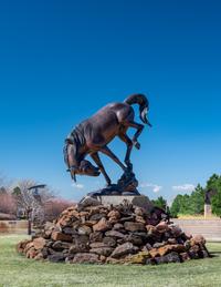 The Bronc , edition 3/5