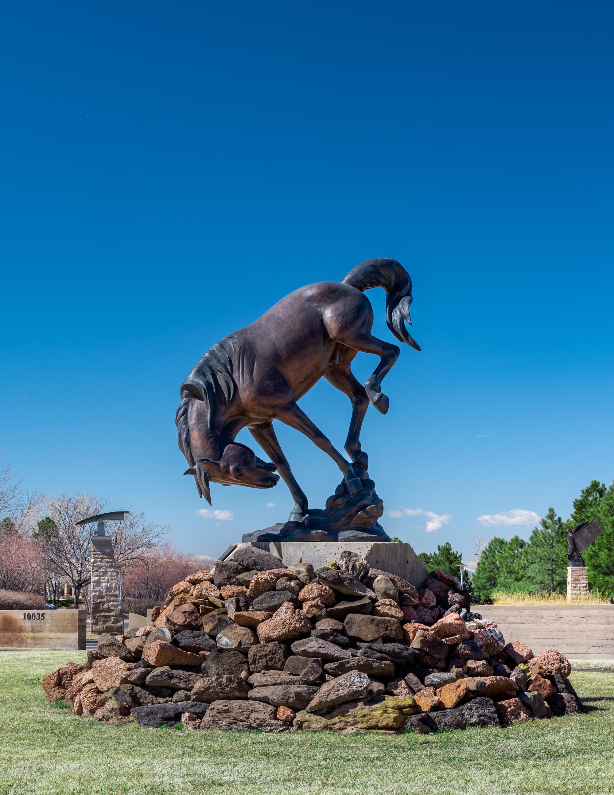 The Bronc , edition 3/5