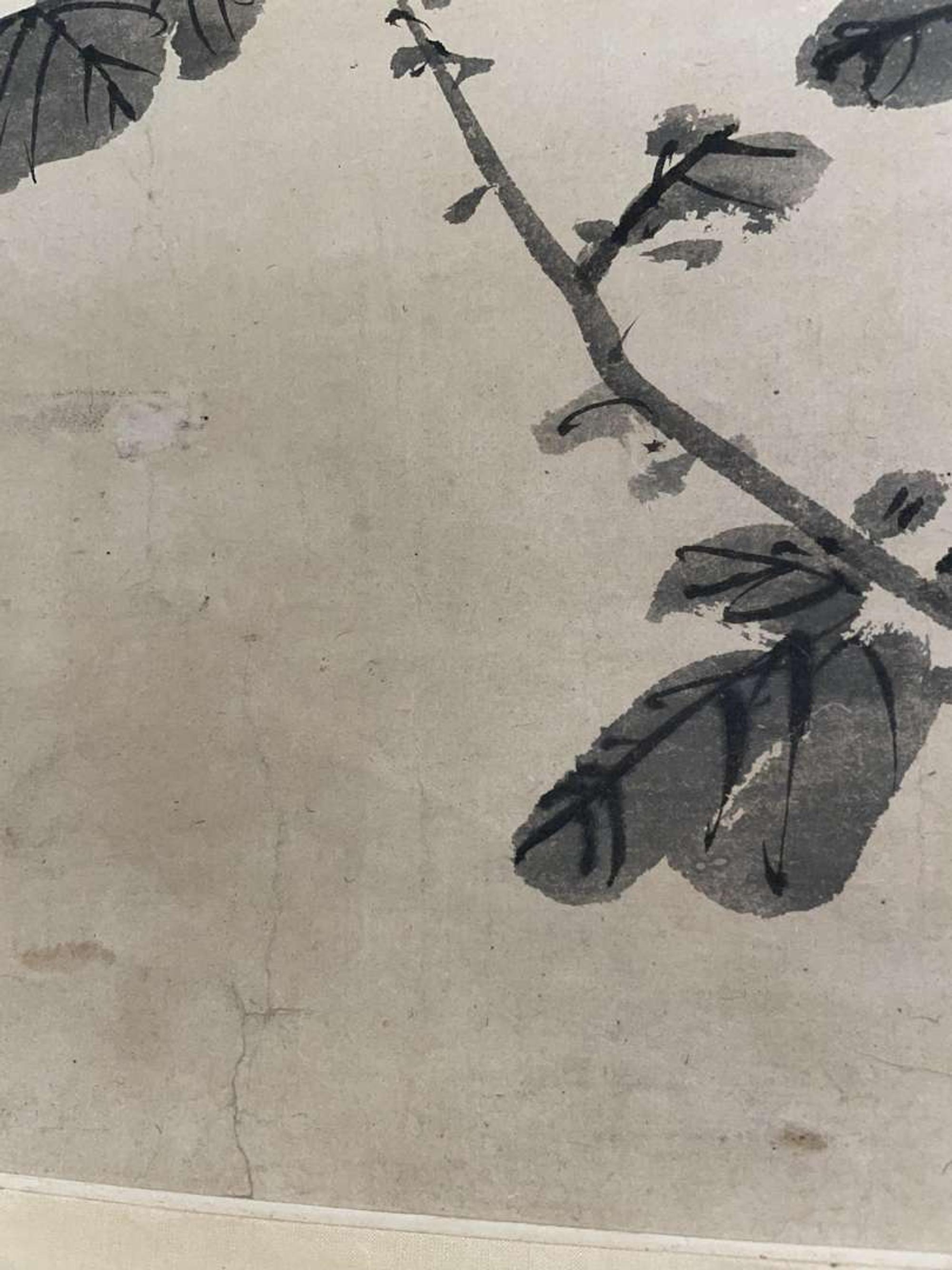 Chen Zun 陈遵 菊图 (Chinese)