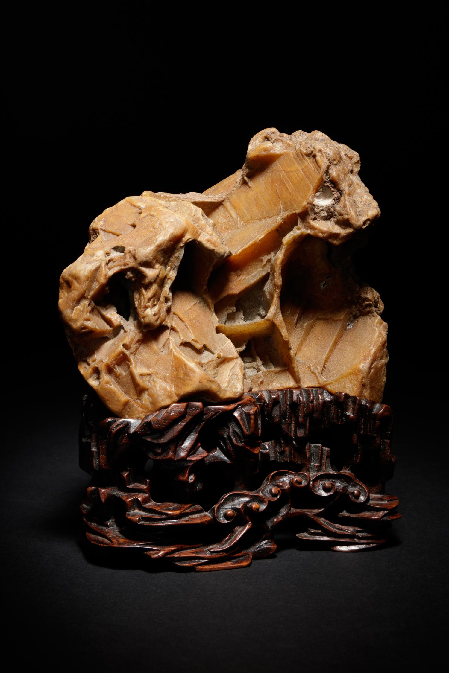 A Yellow Wax Scholar's Rock