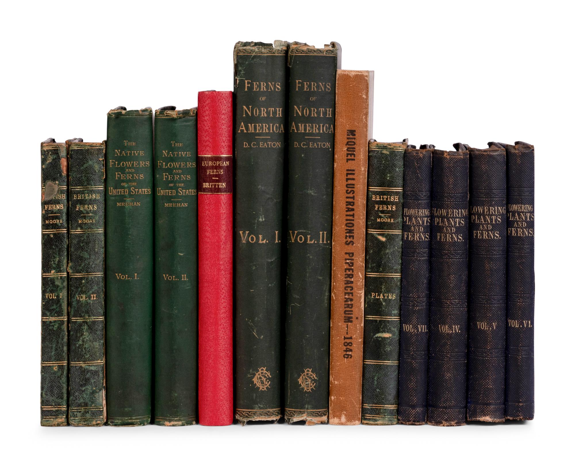 [NATURAL HISTORY - FERNS]. A group of 10 works, including: