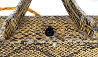 A Claude Lumiere Faux Snakeskin Desk Lamp — 20TH CENTURY
