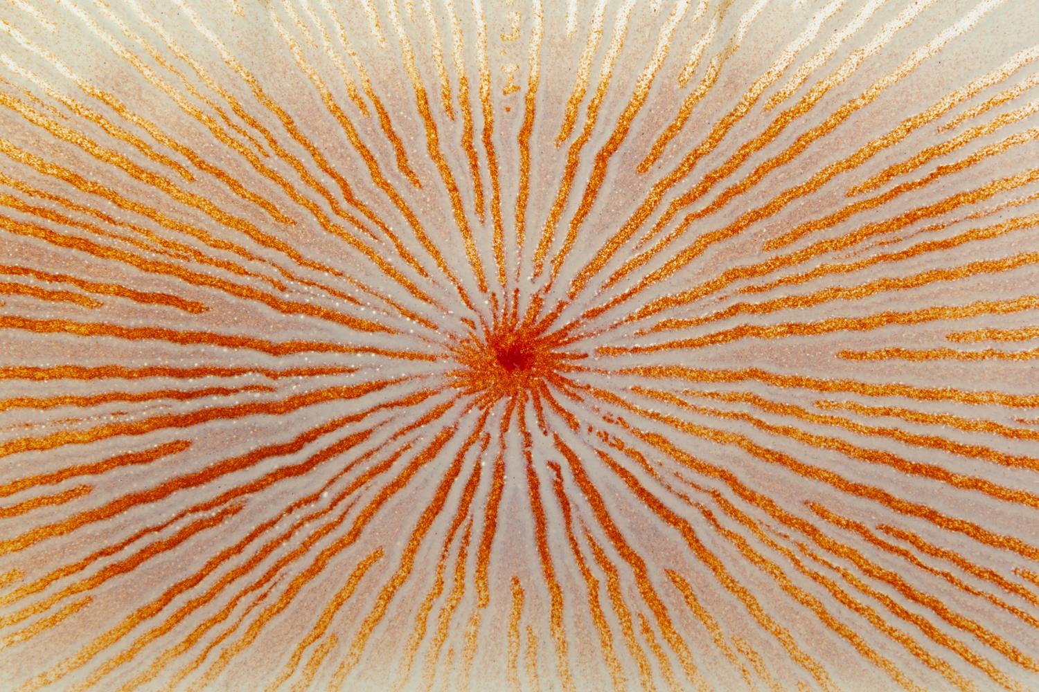 Untitled Plate