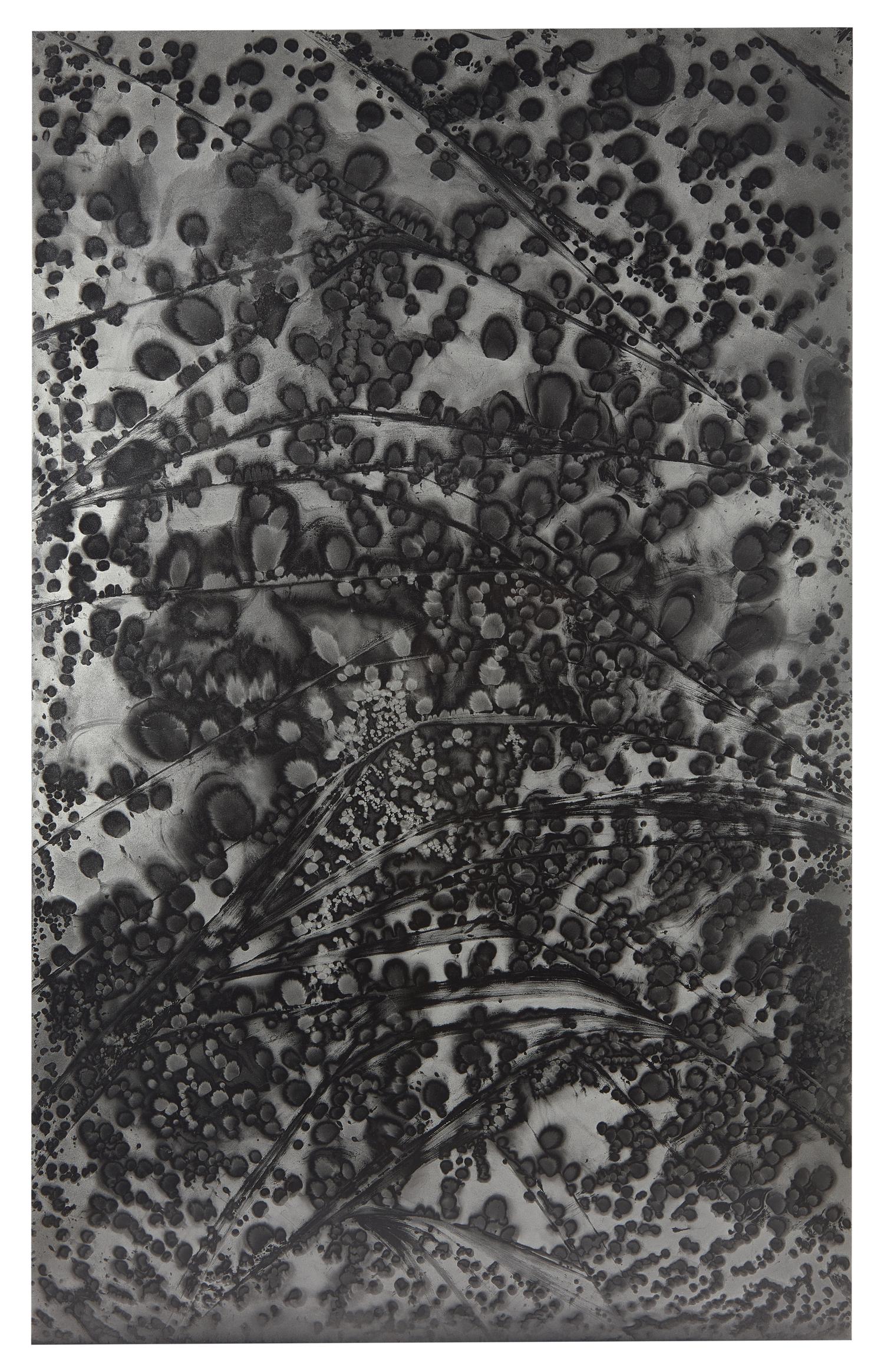 Untitled (fold)