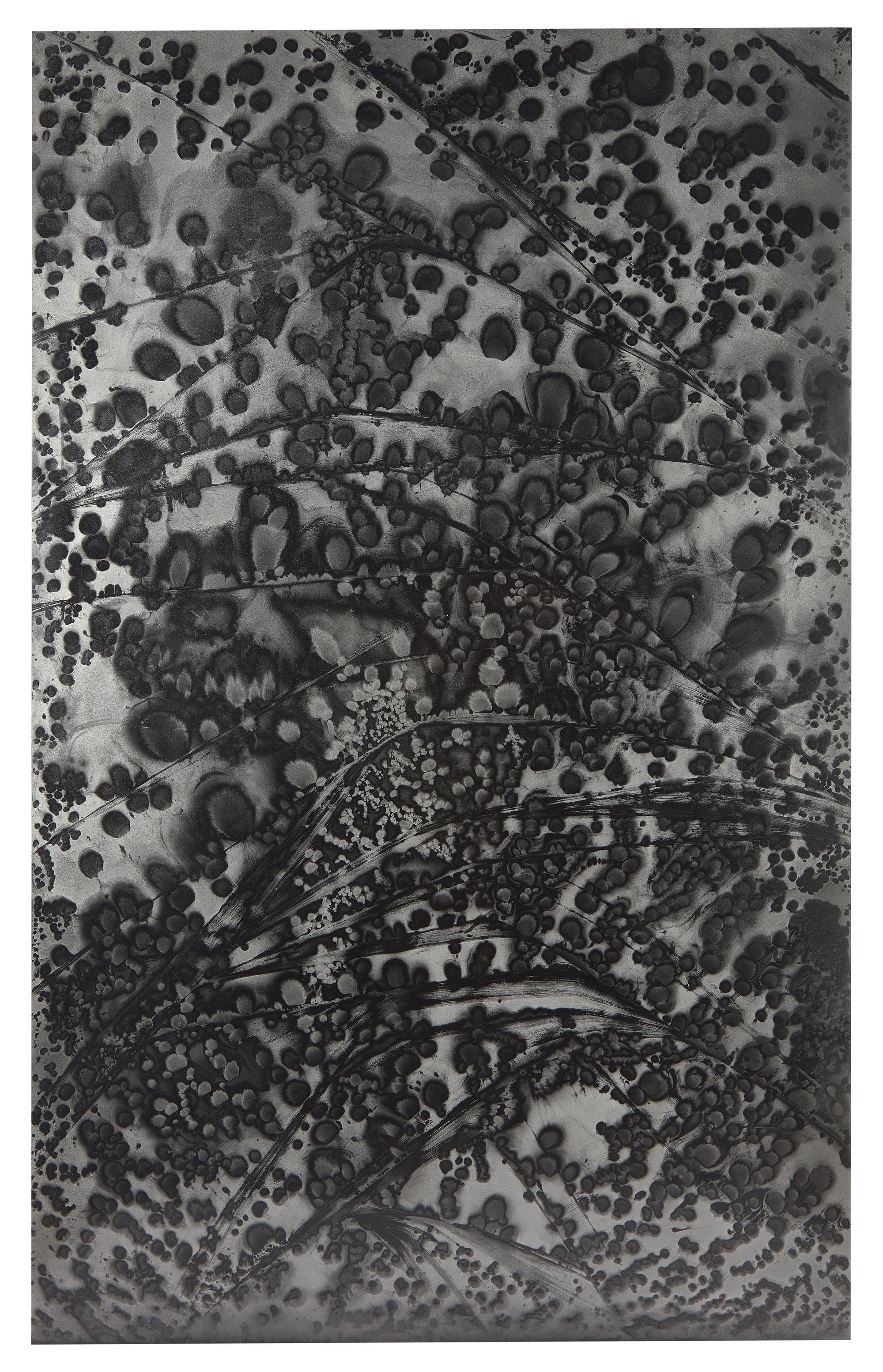 Untitled (fold)