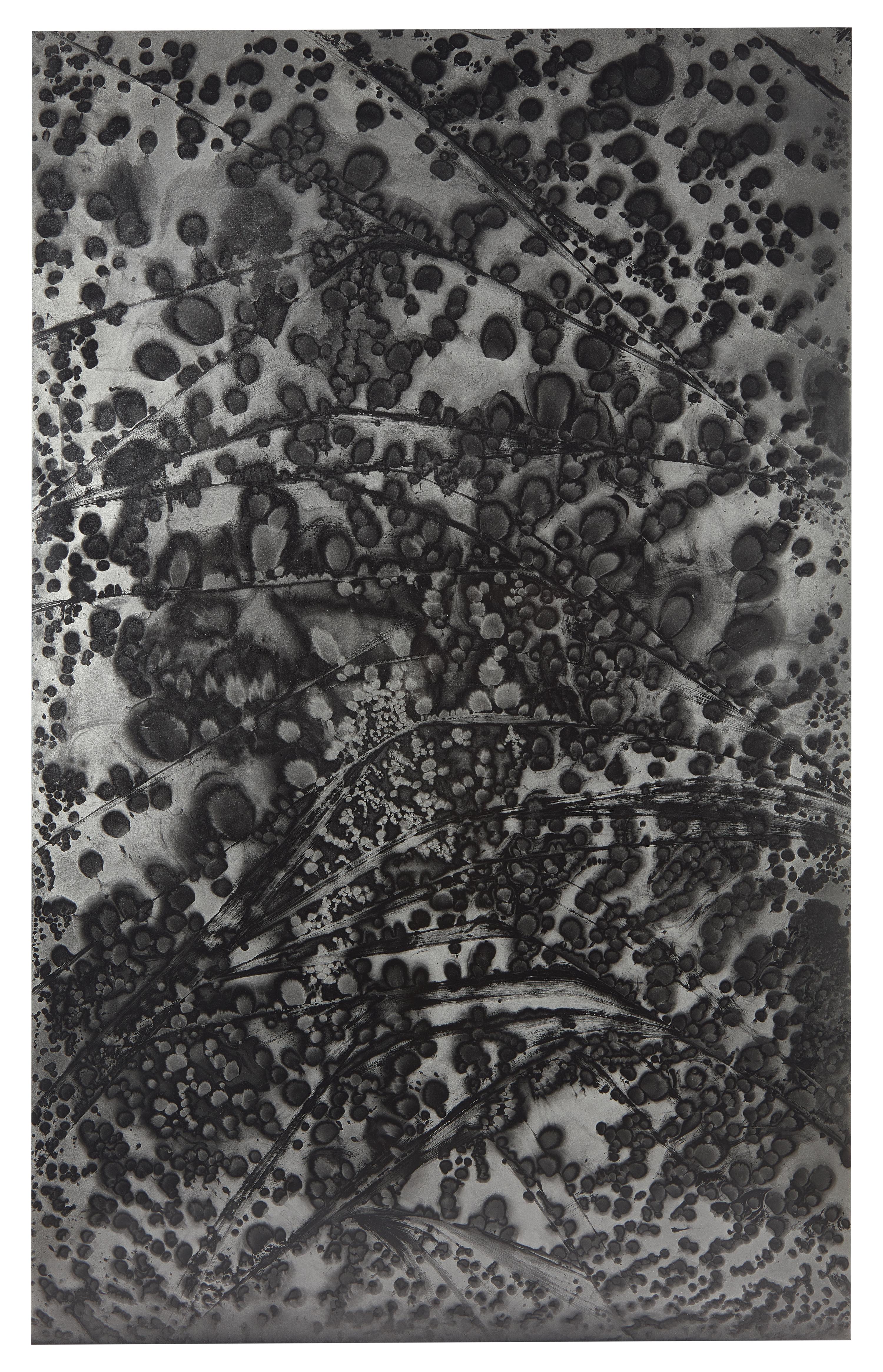 Untitled (fold)