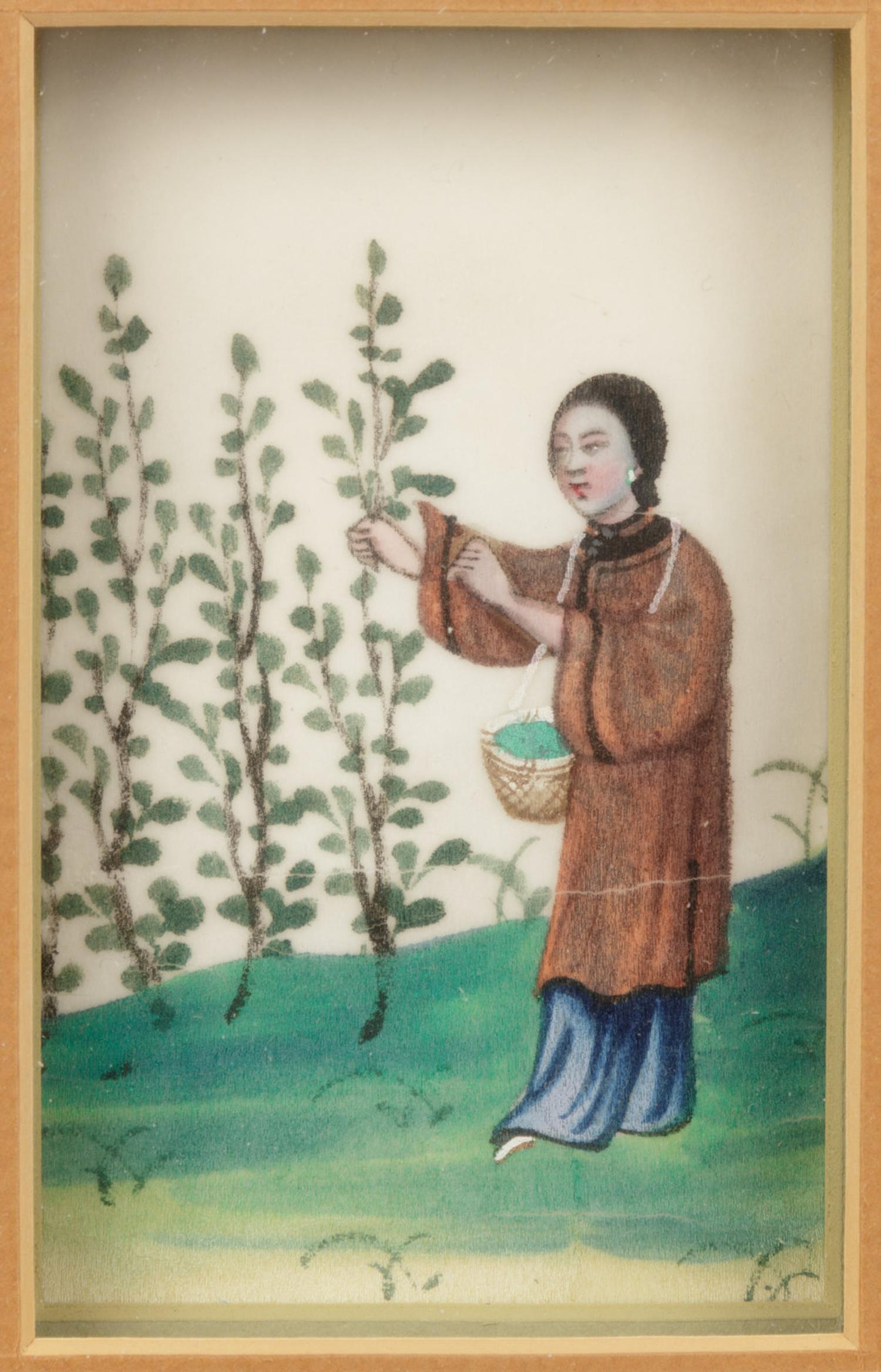 Two Chinese Export Pith Paintings