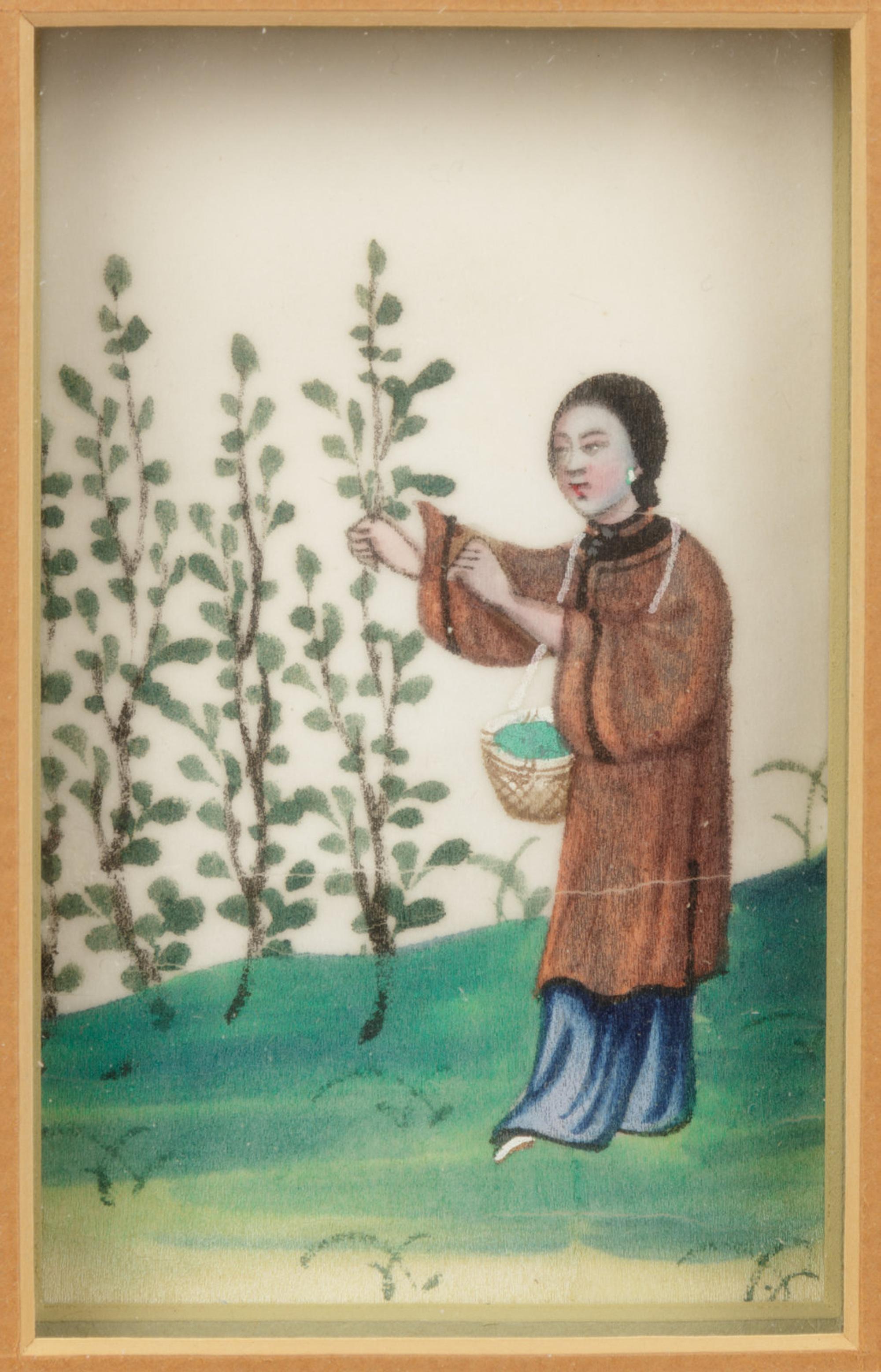 Two Chinese Export Pith Paintings