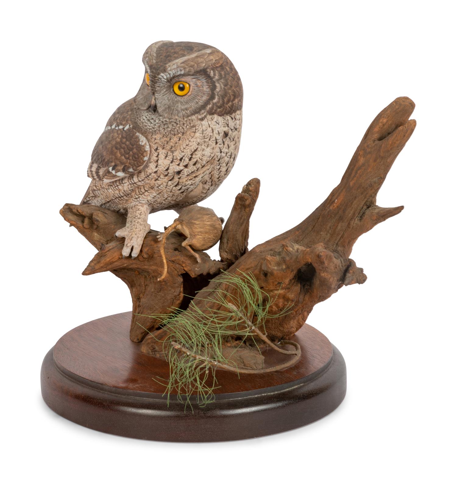 Otus Asio (Eastern Screech Owl)