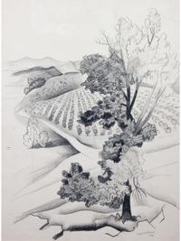 Landscape of Cherry Orchard (Southern Colorado)