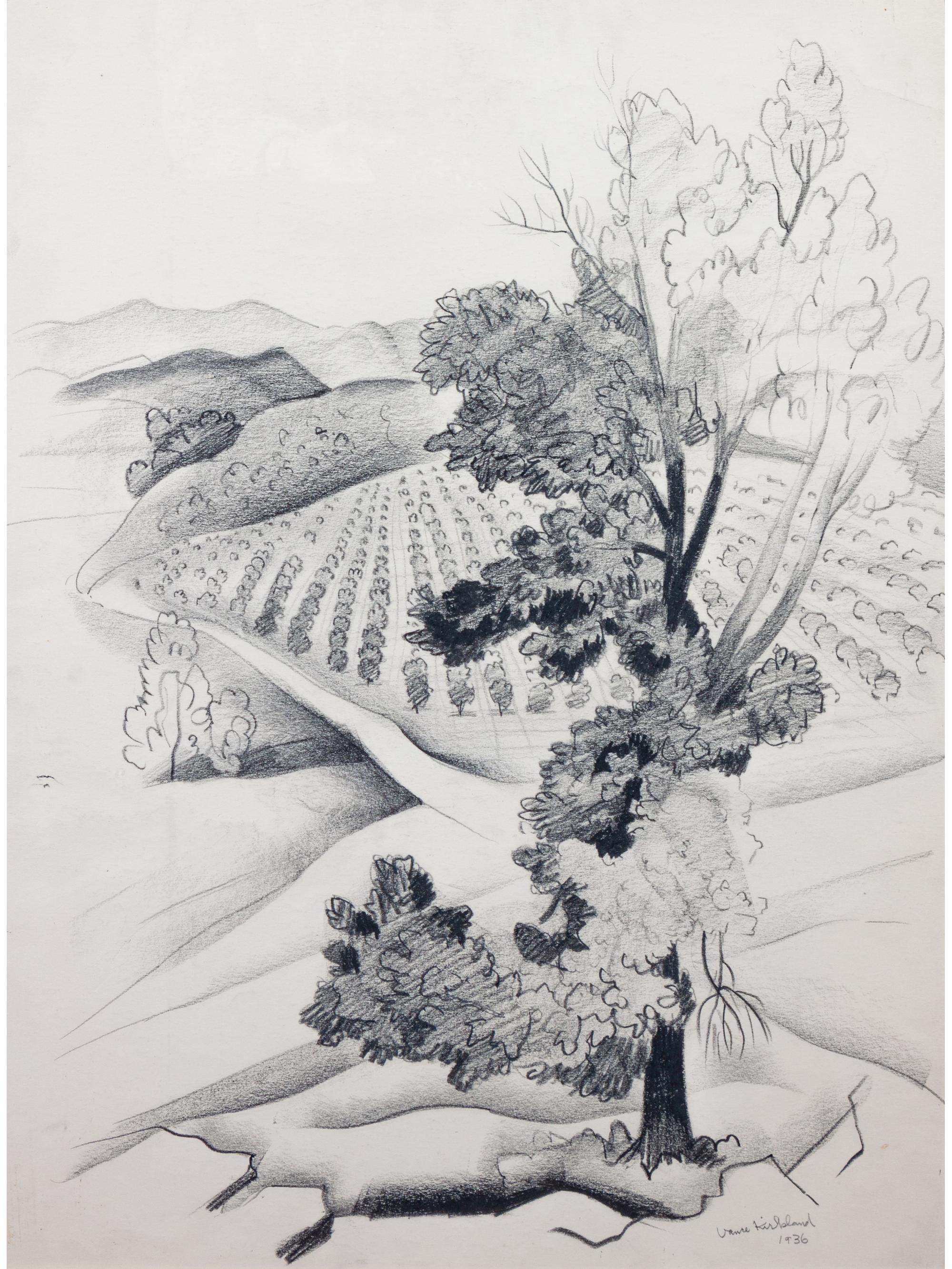 Landscape of Cherry Orchard (Southern Colorado)