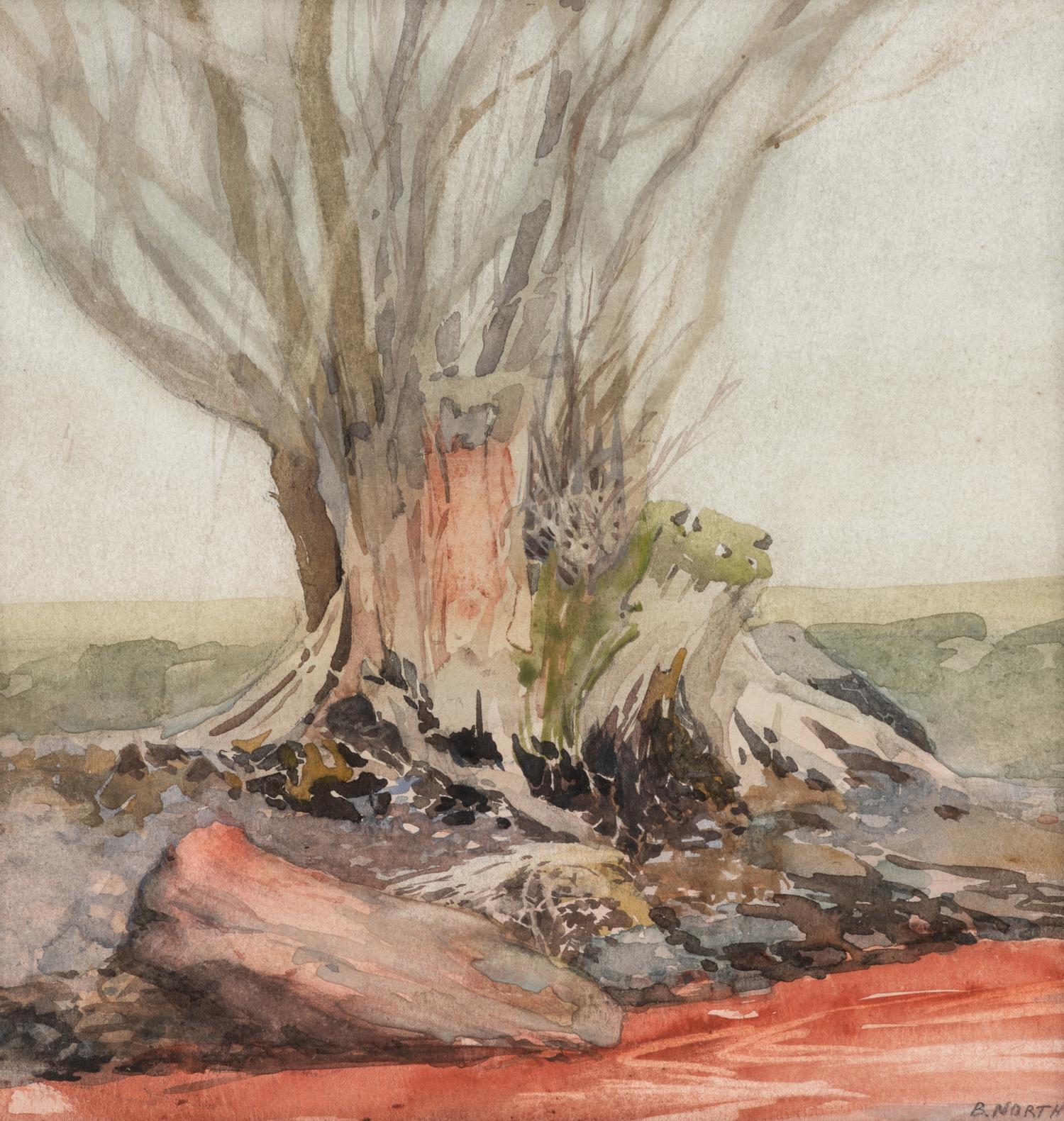 Tree Stumps