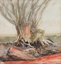 Tree Stumps