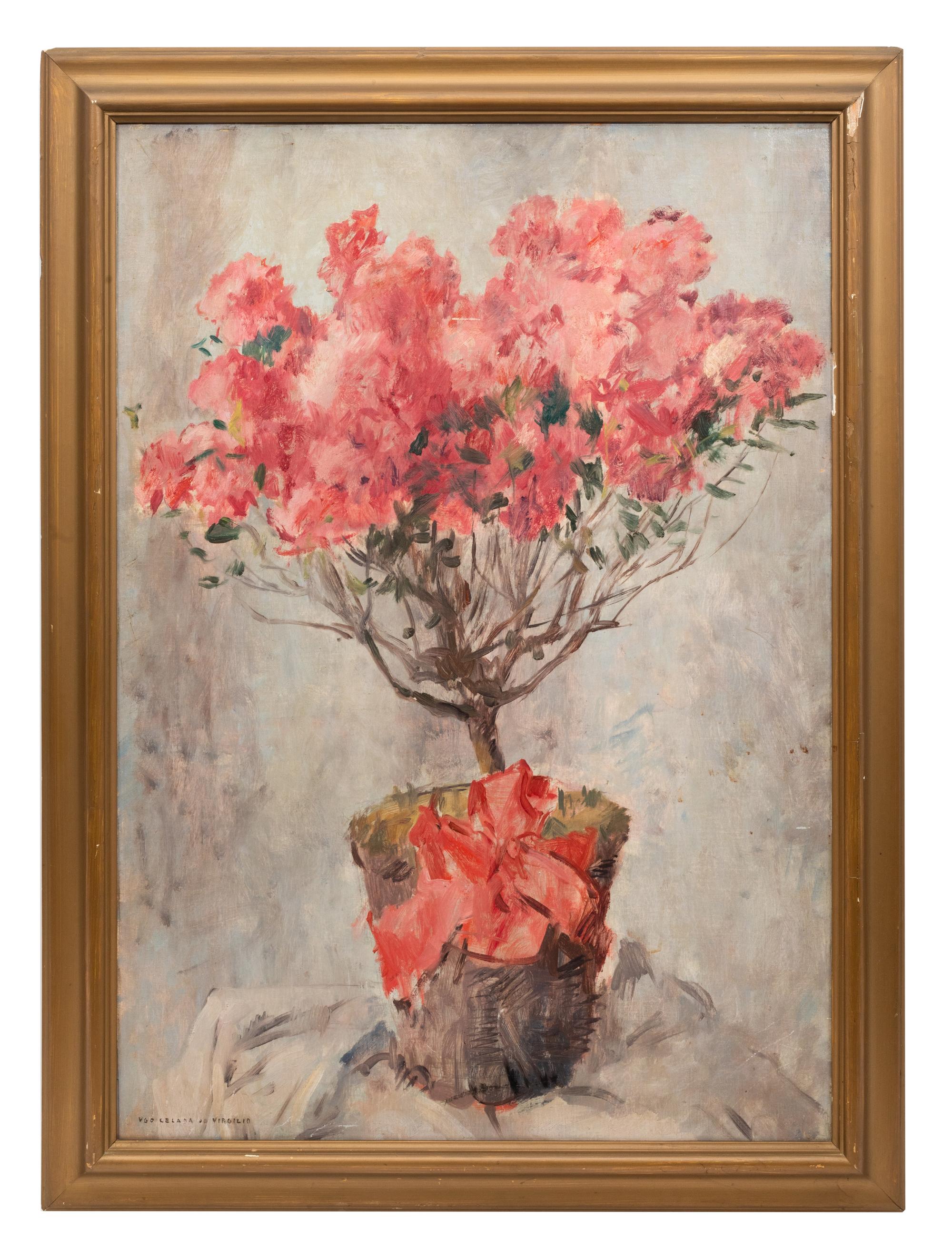 Flowering Azalea