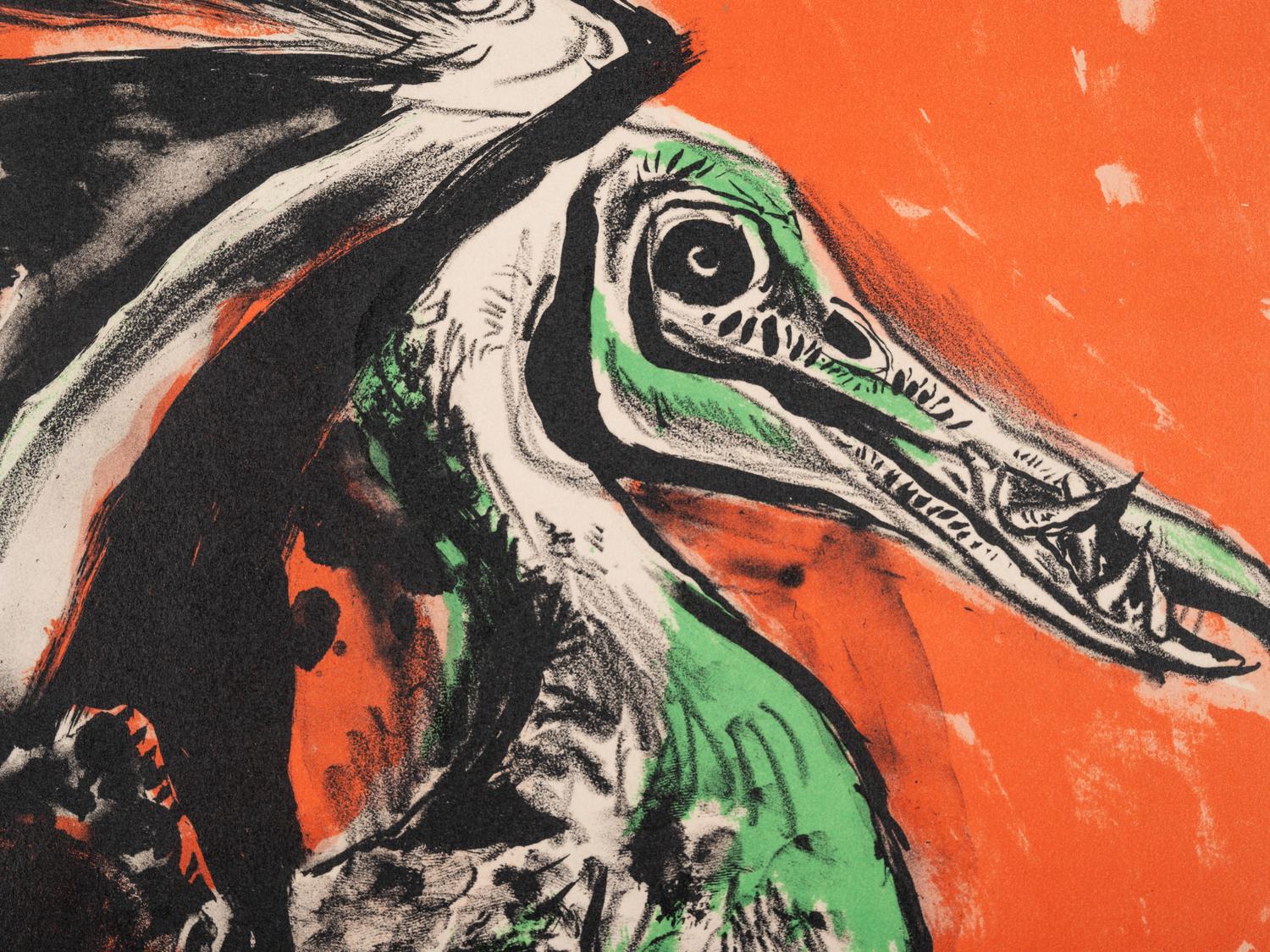 Pelican