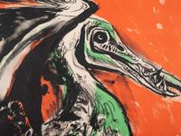 Pelican