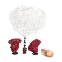 Three Painted Coral Specimens on Stands