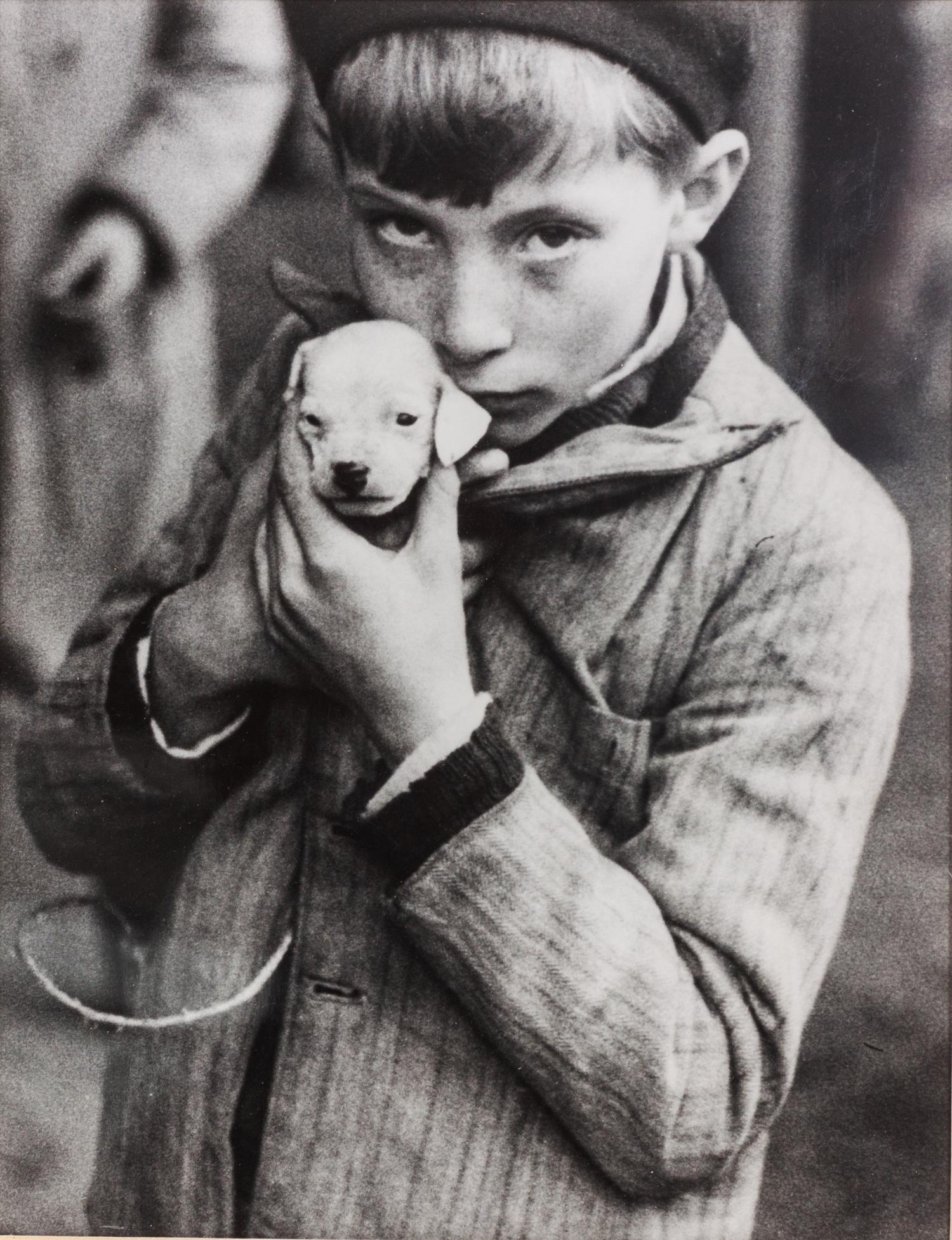 Five Photographs depicting Dogs of Various Breeds Largest: 9 1/2 x 12 inches.