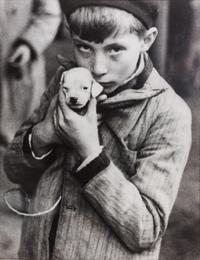 Five Photographs depicting Dogs of Various Breeds Largest: 9 1/2 x 12 inches.