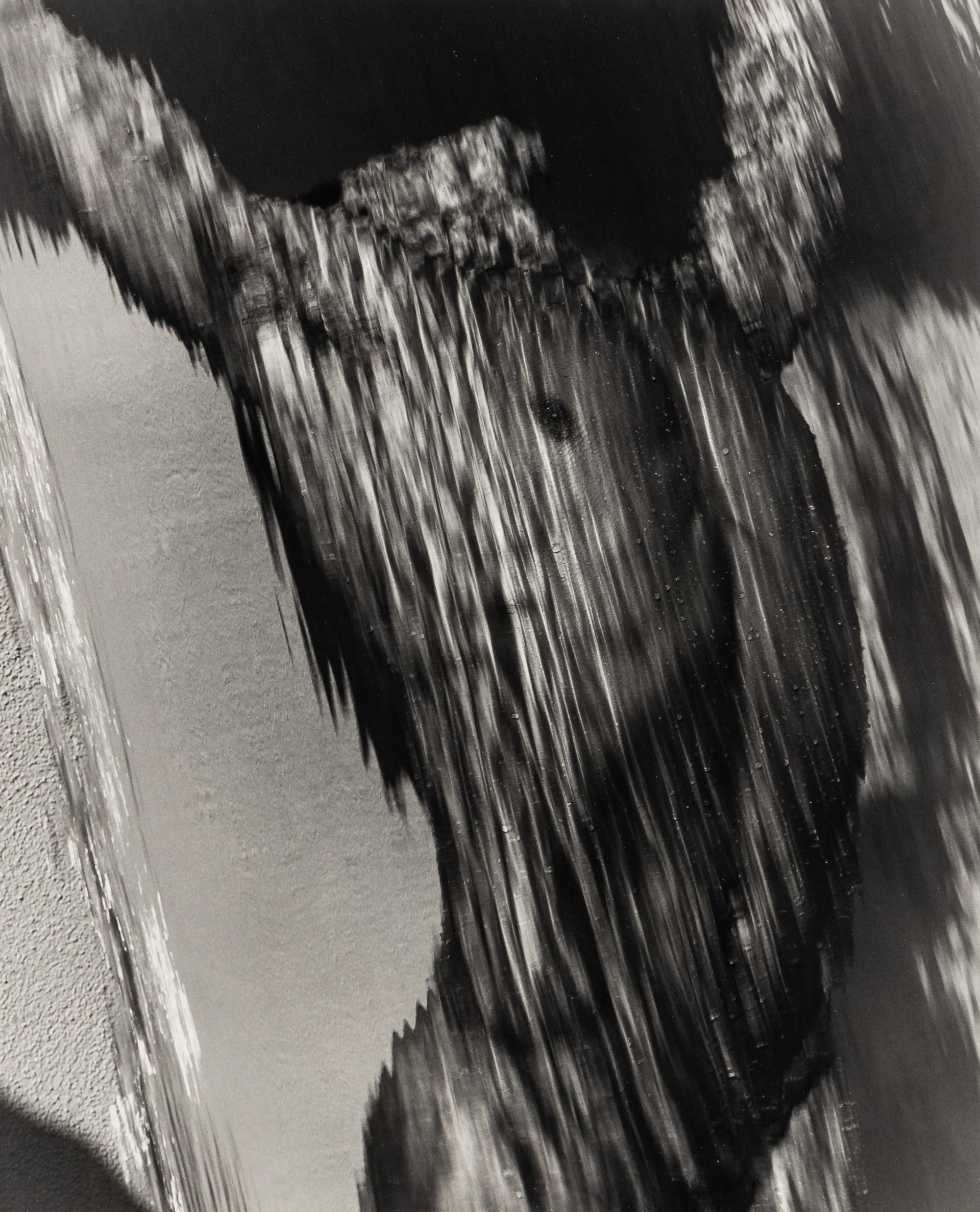 Herb Ritts (1952–2002) Waterfall Torso, Hollywood, 1988