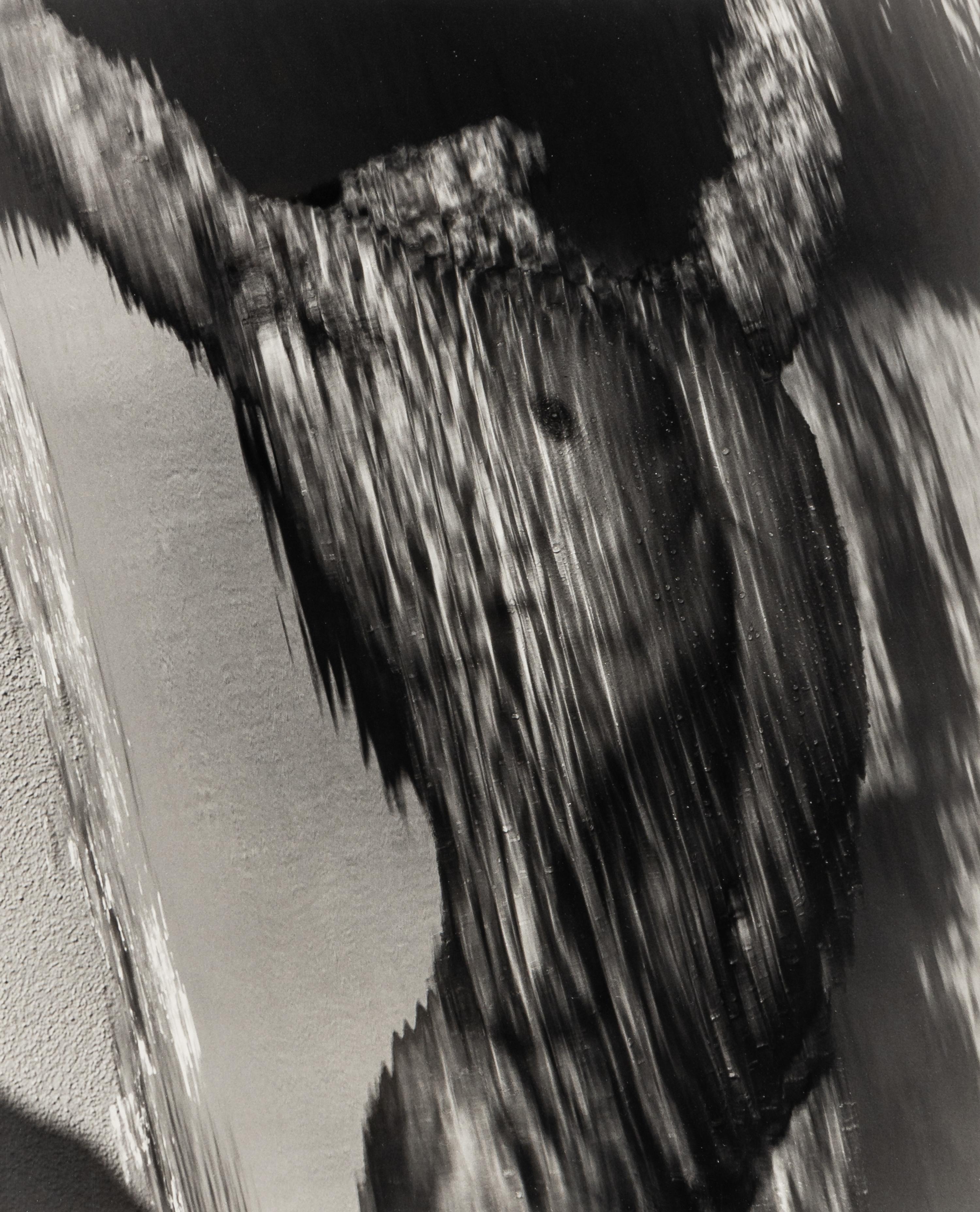 Herb Ritts (1952–2002) Waterfall Torso, Hollywood, 1988