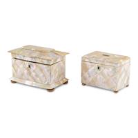 Two Regency Mother-of-Pearl Veneered Tea Caddies