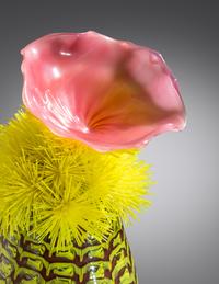 Cactus , 2000