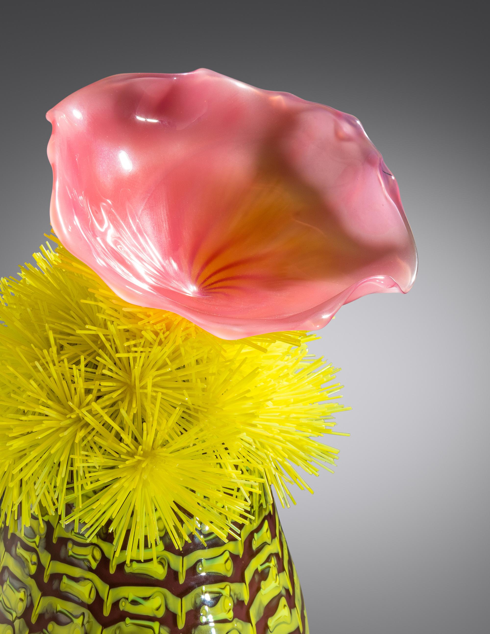 Cactus , 2000
