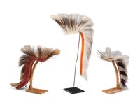 Plains Hair Roaches