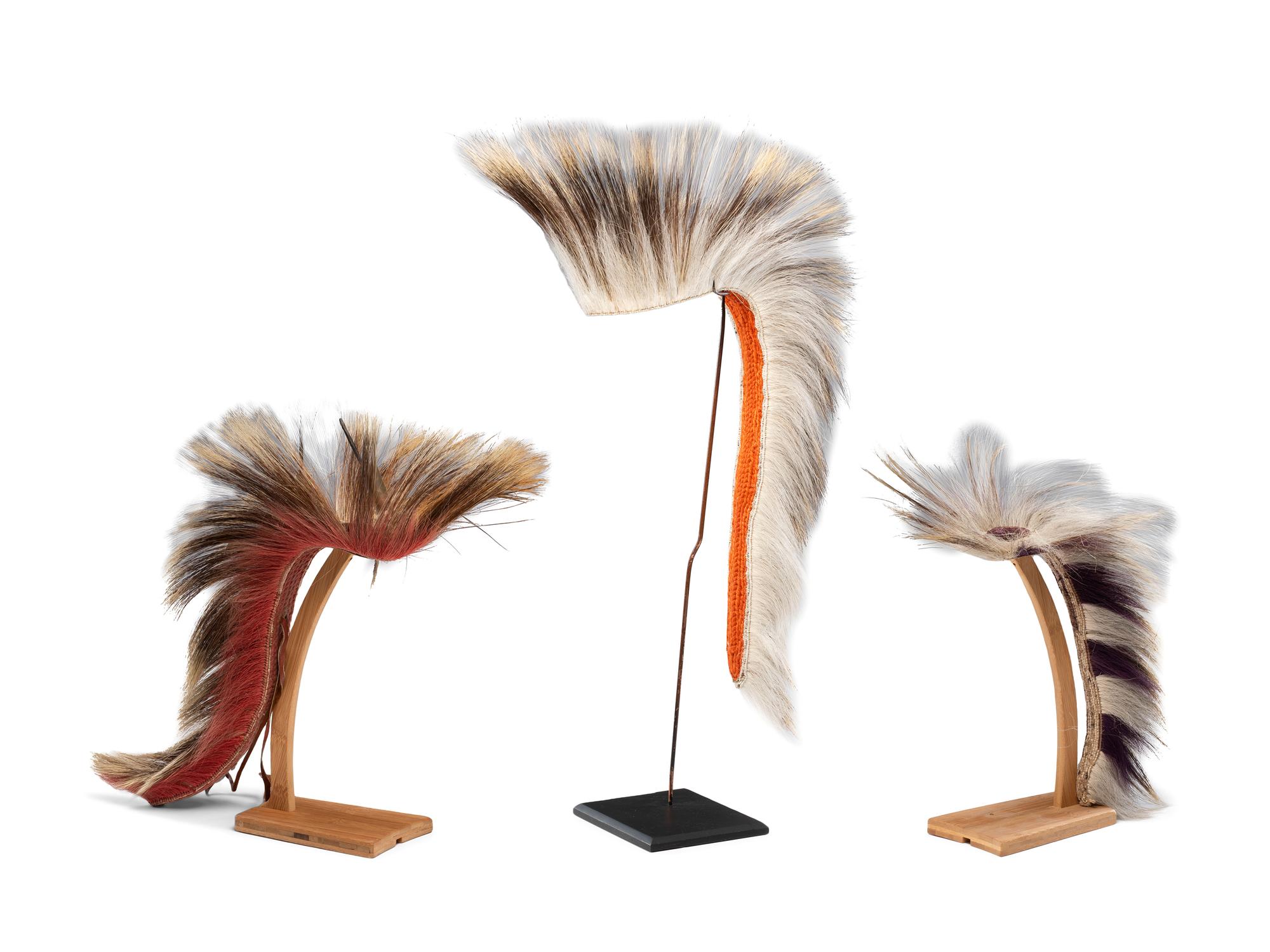 Plains Hair Roaches