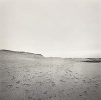 Cape Cod, 1973-1974 (two works)