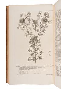 LINNAEUS, Carolus (1707-1778). Hortus cliffortianus . Amsterdam: 1737 [i.e. 1738].