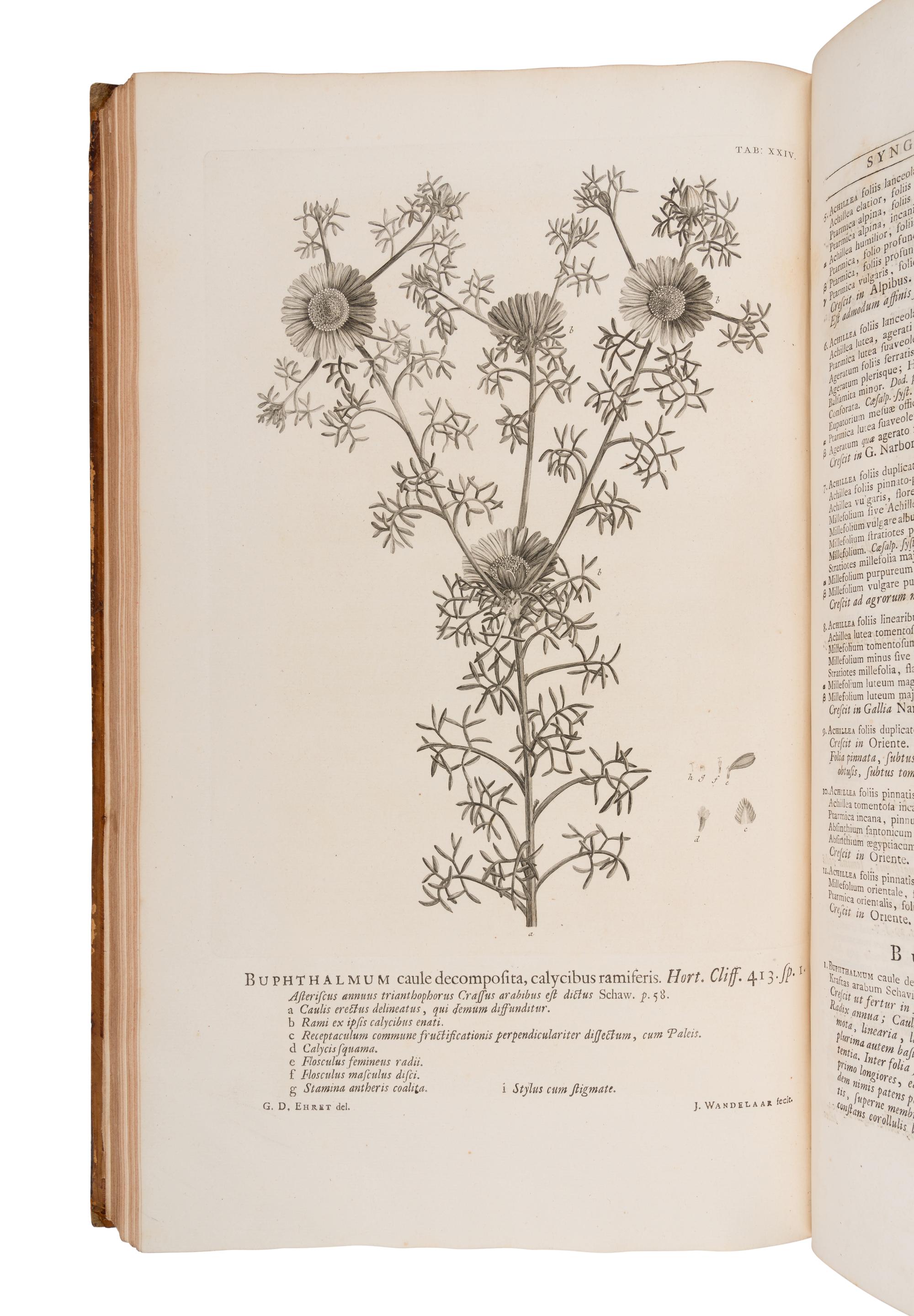 LINNAEUS, Carolus (1707-1778). Hortus cliffortianus . Amsterdam: 1737 [i.e. 1738].