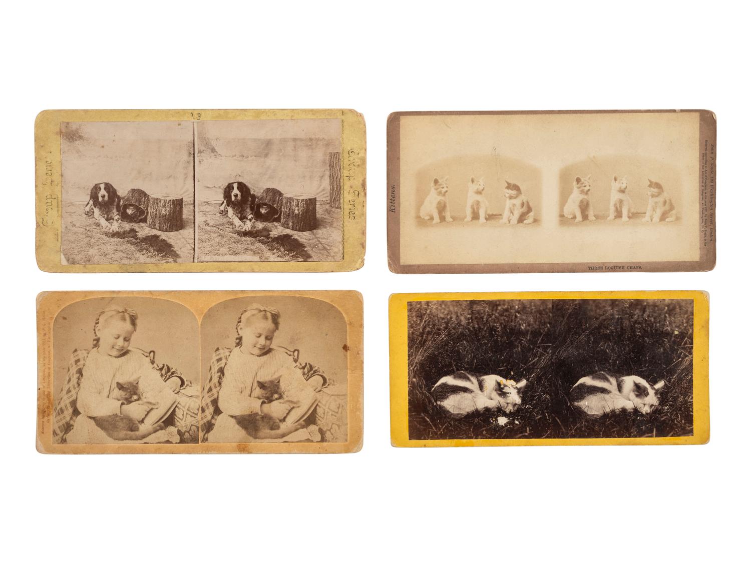 [EARLY PHOTOGRAPHY]. 9 mounted photographs of cats, incl. examples by SOULE, BURNHAM, and PARTRIDGE.